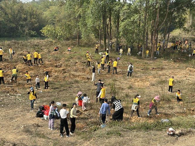 惠阳平潭打造“桃花岛”特色景观，提升乡村旅游品质